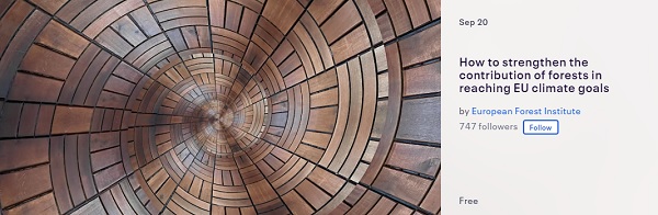 Webinar: How to strengthen the contribution of forests in reaching EU climate goals